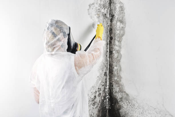 Professional Water damage restoration in Shawnee, OK